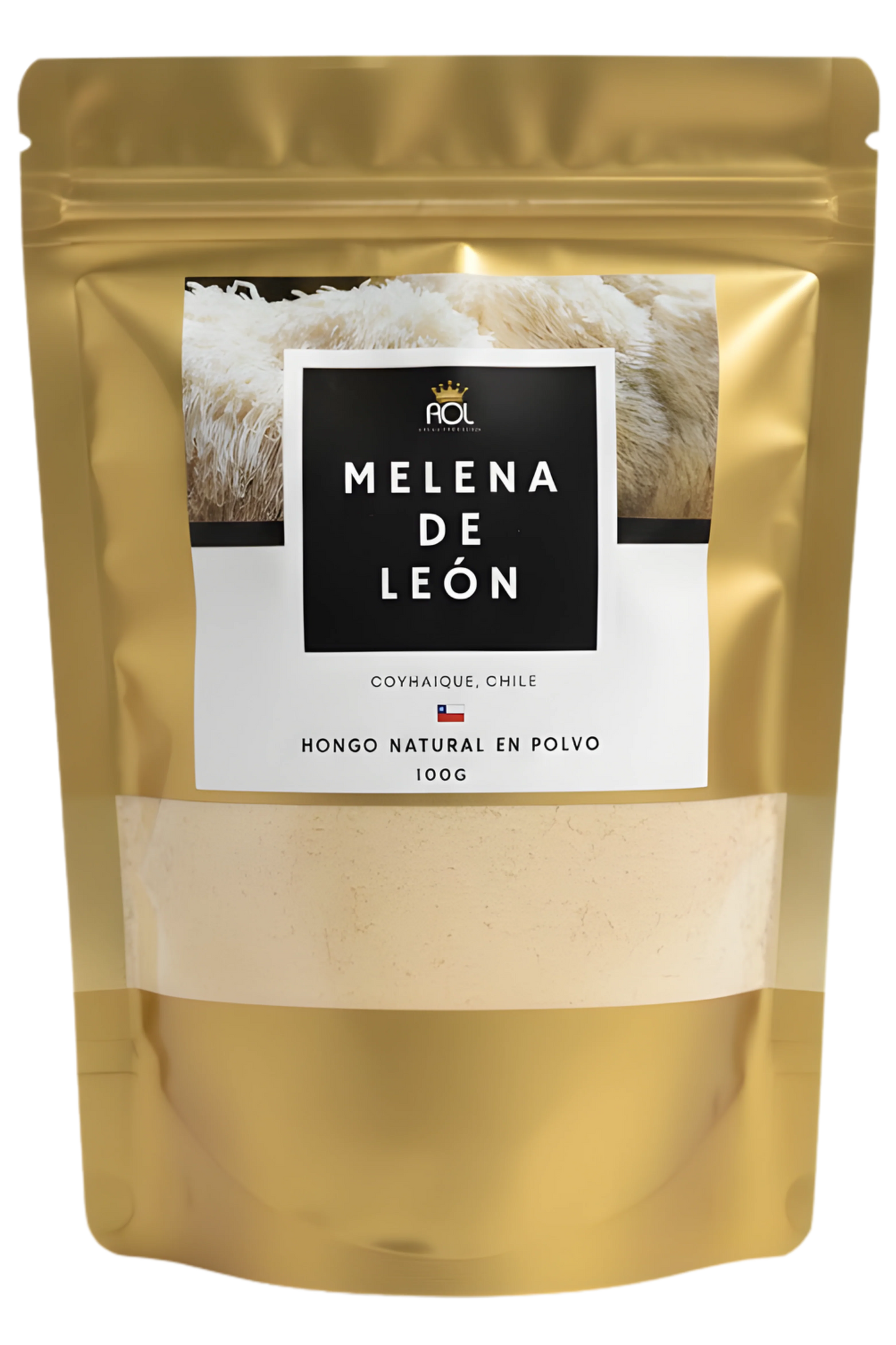 Melena De León En Polvo 100g