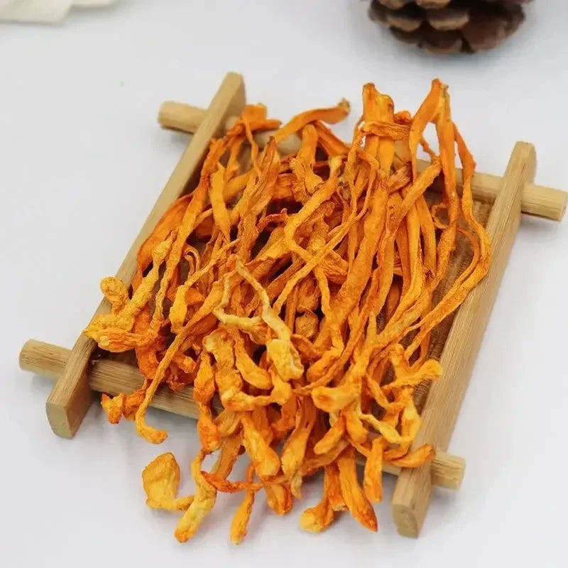Cordyceps Militaris